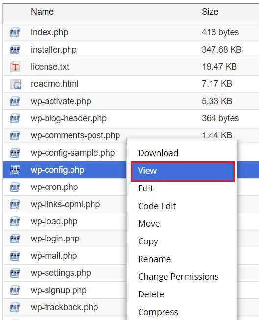 Viewing the wp-config.php file