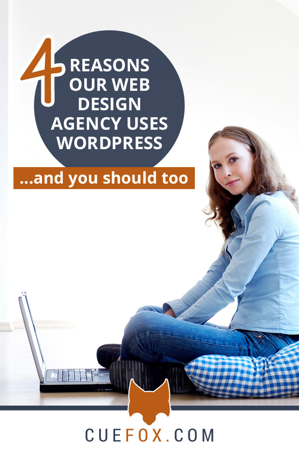 4 Reasons Our Web Design Agency Uses WordPress banner image