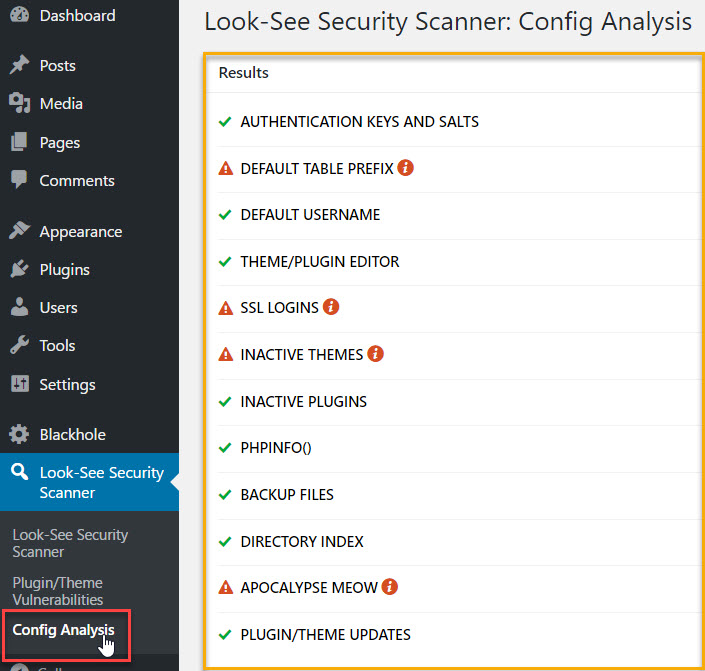 Look-See Security Scanner Config Analysis page