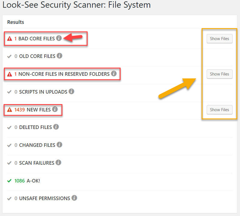Look-See Security Scanner results