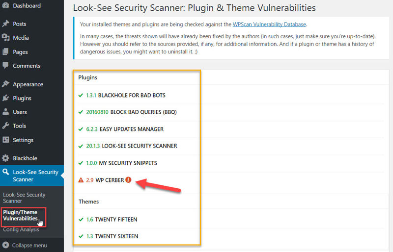 Look-See Security Scanner's vulnerability detection and history page