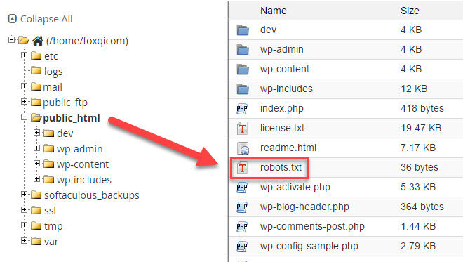 Robots.txt in public_html directory