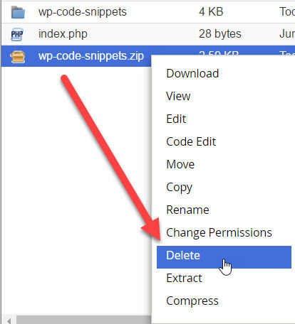 Deleting the WP Code Snippets zip file